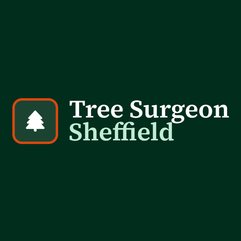 Tree Surgeon Sheffield